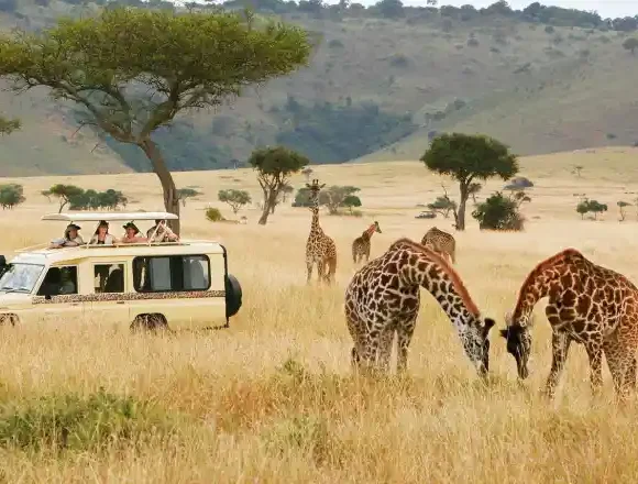 Reasons Why Safari Holidays Kenya Is The Top Safari Destination