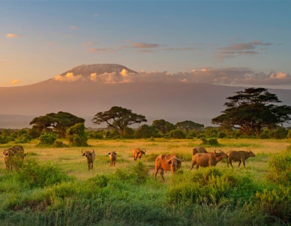 Exceptional destinations on a Kenya & Tanzania safari