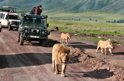 Kenya Safari with Mauritius Beach