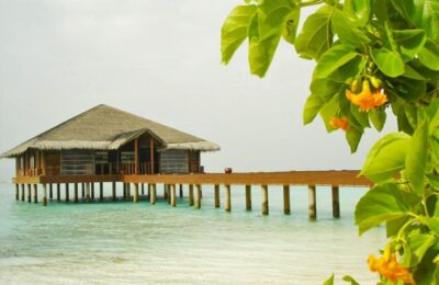 Honeymoon in Sri Lanka and Maldives